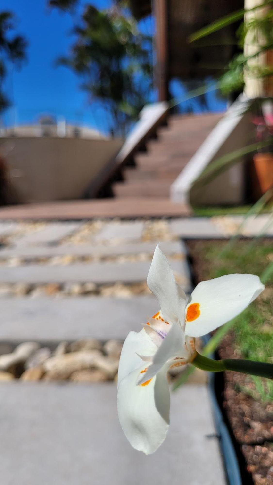 Apart Hotel Beira Do Mar Florianópolis 외부 사진